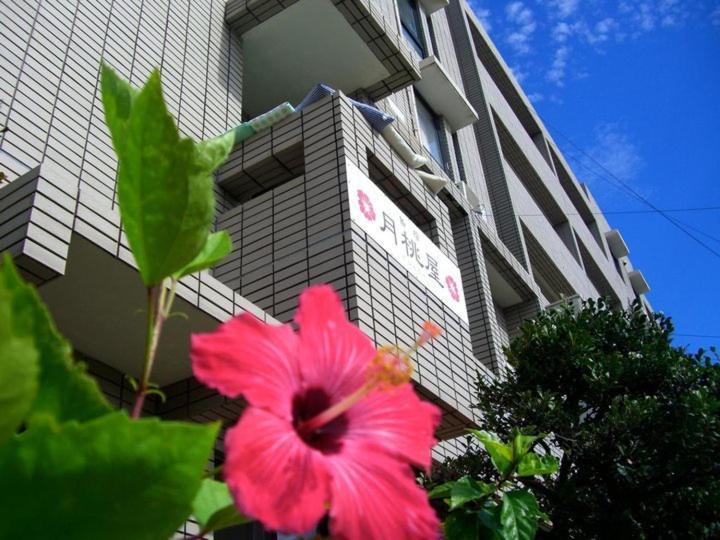 Shimayado Gettoya Ishigaki  Exterior foto